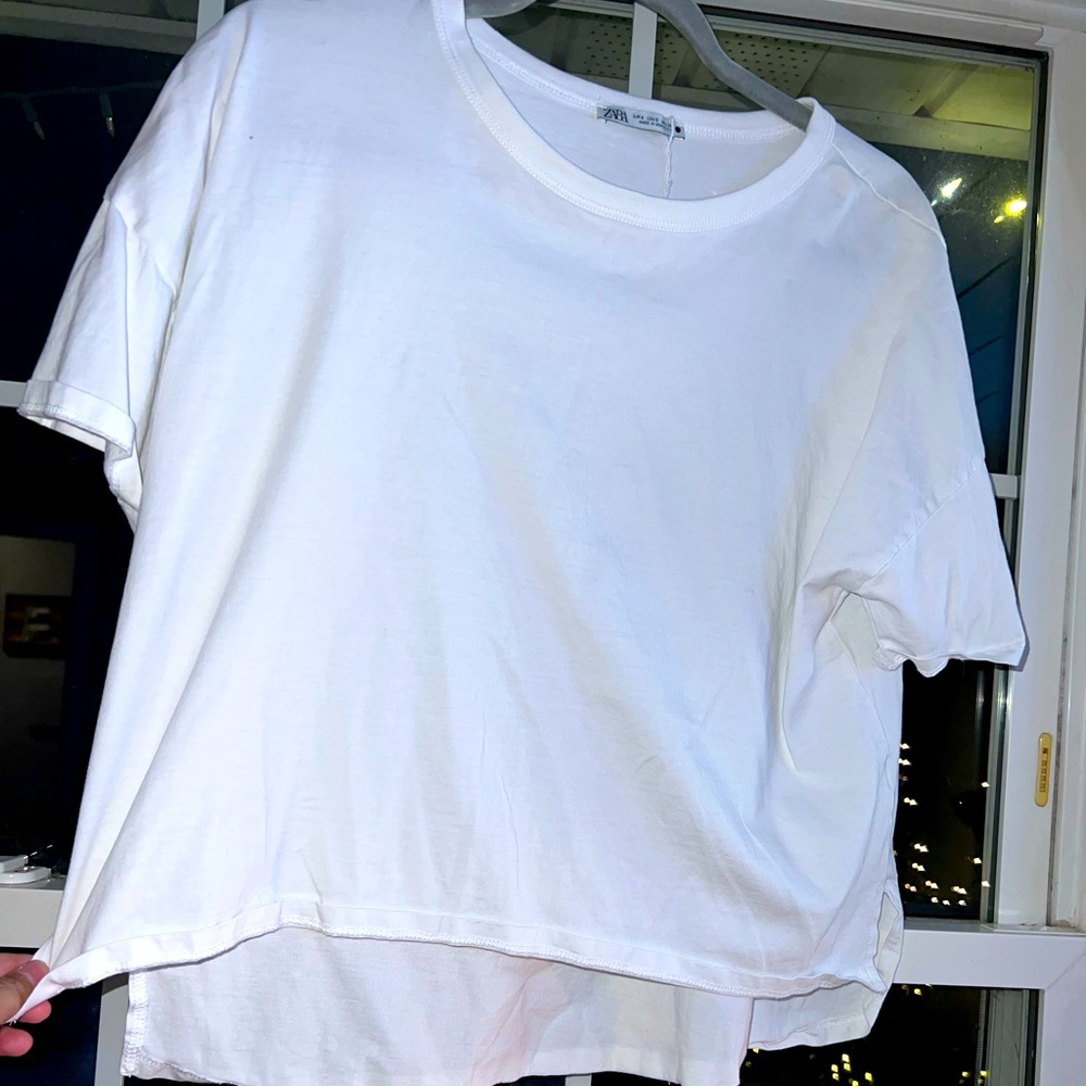 Zara crop top
